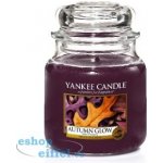 Yankee Candle Autumn Glow 411 g – Hledejceny.cz