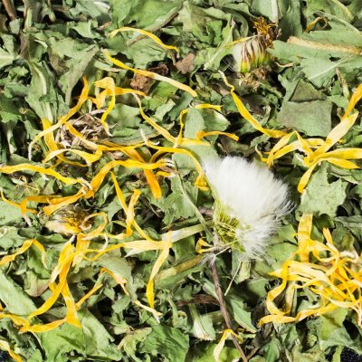 JR Farm suchá píce Pampeliška 0,5 kg – Zboží Dáma