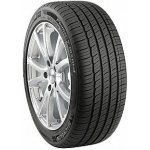 Michelin Pilot Sport Cup 2 215/40 R18 89Y – Zbozi.Blesk.cz