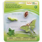 Safari Ltd. Životní cyklus Můra – Zboží Mobilmania