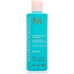 Moroccanoil Moisture Repair Shampoo 250 ml – Zboží Mobilmania
