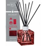 Maison Berger Paris aroma difuzér Cube Proti zápachu z kuchyně Svěží květinová vůně 125 ml – Hledejceny.cz