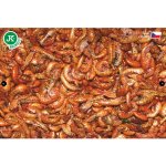 Dajana Gammarus 250 ml – Zboží Dáma