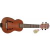 Ukulele Fzone FZU-31SEQ