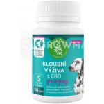 Zelená Země Kloubní výživa pro psy s CBD 60 ks – Sleviste.cz