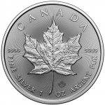 Royal Canadian Mint Canadian Maple Leaf 1 oz – Zboží Dáma