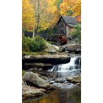 Foto závěs Blackout Dream 140x245cm FCP L 6599 – Hledejceny.cz