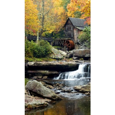 Foto závěs Blackout Dream 140x245cm FCP L 6599 – Hledejceny.cz