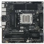 Asus PRO WS B850M-ACE SE 90MB1MN0-M0EAY0 – Zboží Živě