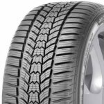 Sava Eskimo HP2 205/55 R17 95V – Sleviste.cz