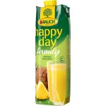 Rauch Happy Day Family ananas 1 l – Zbozi.Blesk.cz