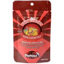 Pangea Fruit Mix With Insects Complete Gecko Diet 228 g