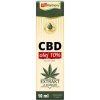 Doplněk stravy VITAHARMONY CBD olej 10% 10 ml