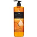 Dedra La collection privée sprchový gel Equilibrium 500 ml