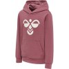 Dětská mikina Hummel Cuatro Hoodie 213850-4338