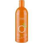 Ziaja Pomerančový sprchový gel 500 ml – Hledejceny.cz
