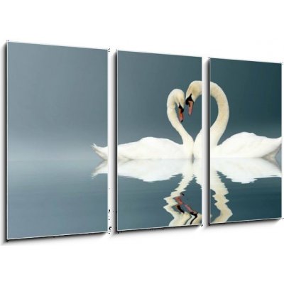 Obraz 3D třídílný - 90 x 50 cm - Love Swans swan heart Amor – Zbozi.Blesk.cz