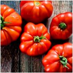 Rajče Marmande Solanum lycopersicum semena rajčete 20 ks – Zboží Mobilmania