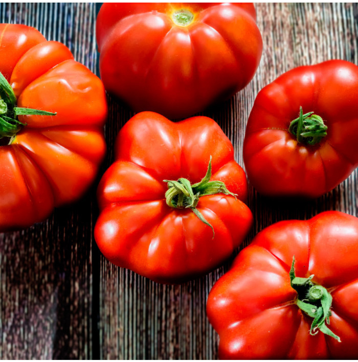 Rajče Marmande - Solanum lycopersicum - semena rajčete - 20 ks