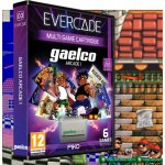 Gaelco Arcade 1 (Evercade Cartridge 03) – Zboží Dáma