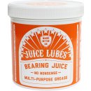 Juice Lubes Bearing 500 ml