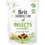 Brit Care Dog Crunchy Cracker Insects with Rabbit enriched with Fennel 200 g – Sleviste.cz