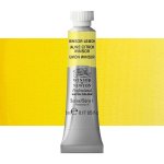 Winsor & Newton Professional Akvarelová barva 5ml Winsor Lemon – Hledejceny.cz