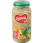 Hami Brokolice s krůtou a cuketou 250 g – Zboží Dáma