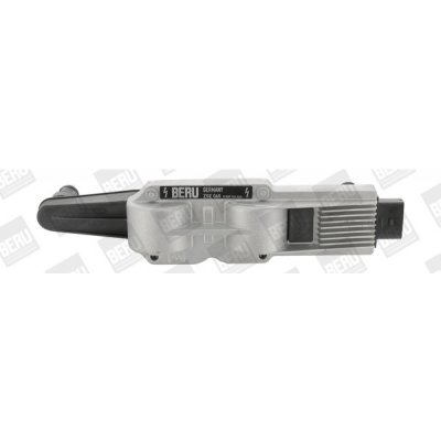 Zapalovací cívka BorgWarner (BERU) ZSE040 – Hledejceny.cz