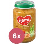 Hami Pestrá zelenina s krůtou 6 x 200 g – Hledejceny.cz