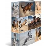 Herma Pořadač pákový 7cm A4 Koně – Zboží Živě