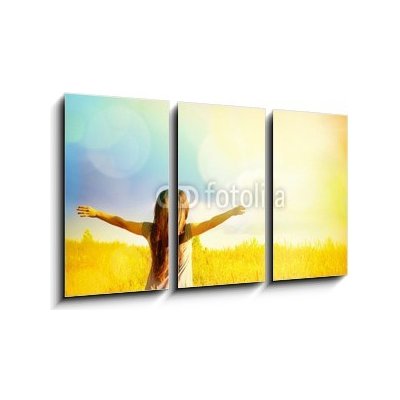 Obraz 3D třídílný - 90 x 50 cm - Free Happy Woman Enjoying Nature. Beauty Girl Outdoor. Zdarma šťastná žena užívat přírody. Krásy dívka venkovní. – Zboží Mobilmania