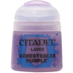 GW Citadel Layer Knight-Questor Flesh 12ml – Zbozi.Blesk.cz