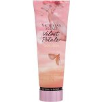 Victoria´s Secret Velvet Petals Golden tělové mléko 236 ml – Zboží Dáma