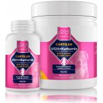 Altervet Cartilan MSM+kurkumin 130 g 100 tbl – Hledejceny.cz
