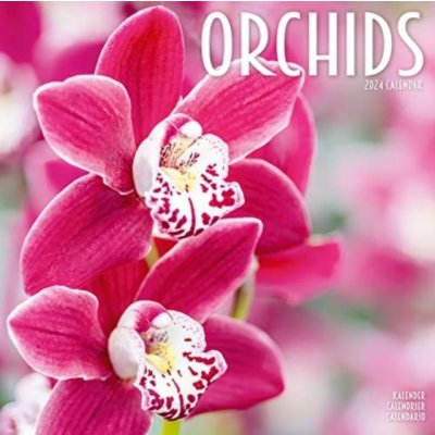 Orchids Square Flowers Wall 16 Month 2024