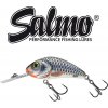 Návnada a nástraha Salmo Rattlin hornet Floating 4,5cm Holographic shad