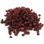 Salvia Paradise Schizandra čínská plod HQ 10 ks 100 g – Hledejceny.cz