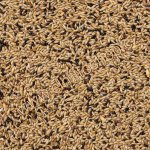 Deli Nature 55 Canaries Supreme 4 kg – Sleviste.cz