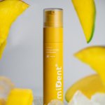 miDent bez cukru Mango Sorbet 60 g – Hledejceny.cz