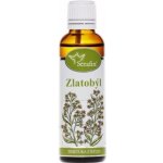 Serafin byliny Zlatobýl tinktura z bylin 50 ml – Hledejceny.cz