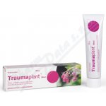 TRAUMAPLANT DRM UNG 100G – Sleviste.cz