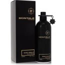 Montale Boisé Vanillé parfémovaná voda dámská 100 ml