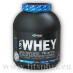 Muscle Sport 100 % Whey Protein 2270 g – Hledejceny.cz