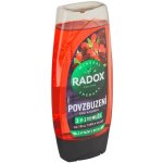 Radox Povzbuzení Men sprchový gel 225 ml – Hledejceny.cz