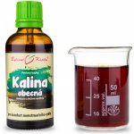 Bylinné kapky Pavlovy bylinné kapky Kalina obecná tinktura 50 ml – Hledejceny.cz