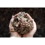 JIMMY'S FOOD Jerky Teriyaki hovězí 25 g – Sleviste.cz