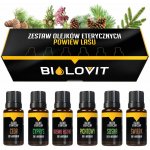 Bilovit vonný olej Vánek lesa 6 x 10 ml – Hledejceny.cz