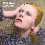 Bowie David - Hunky Dory Picture LP – Hledejceny.cz