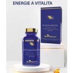 Blue Nature Antioxidants Green Tea 40 kapslí – Hledejceny.cz